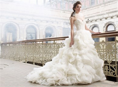 Professional Wedding Gown service